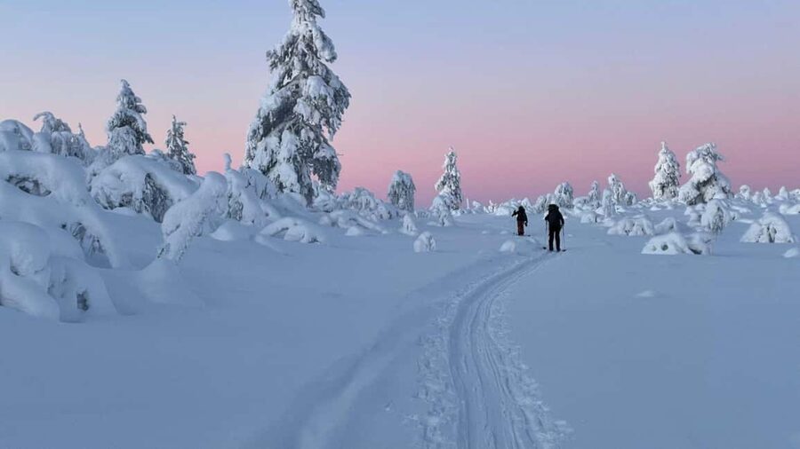 Ylläs: Guided Nordic Skiing Tour in Lapland Wilderness - Getting to the Kellokas Meeting Point and Starting With Proper Setup
