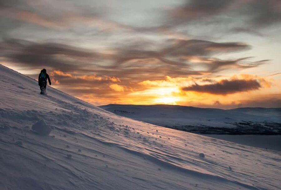 Ylläs: Guided Snowshoeing Adventure to Kesänki Fell - Entering the quiet winter world of Kesänki Fell