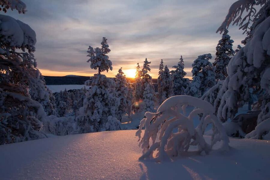 Ylläs: Guided Snowshoeing Adventure to Kesänki Fell - Snowshoe fit, poles, and a safety briefing you can actually use
