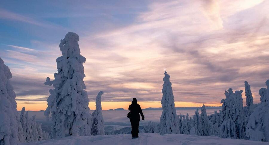 Ylläs: Guided Snowshoeing Adventure to Kesänki Fell - Who this tour suits best (and who should skip it)