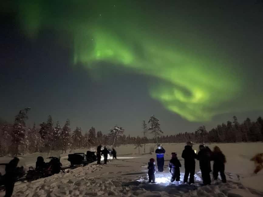 Ylläs: Northern Lights Snowmobile Safari with Transfers - Snowmobile Through the Dark Forests: The Real Experience in 3 Hours